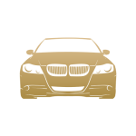 Selection Icon